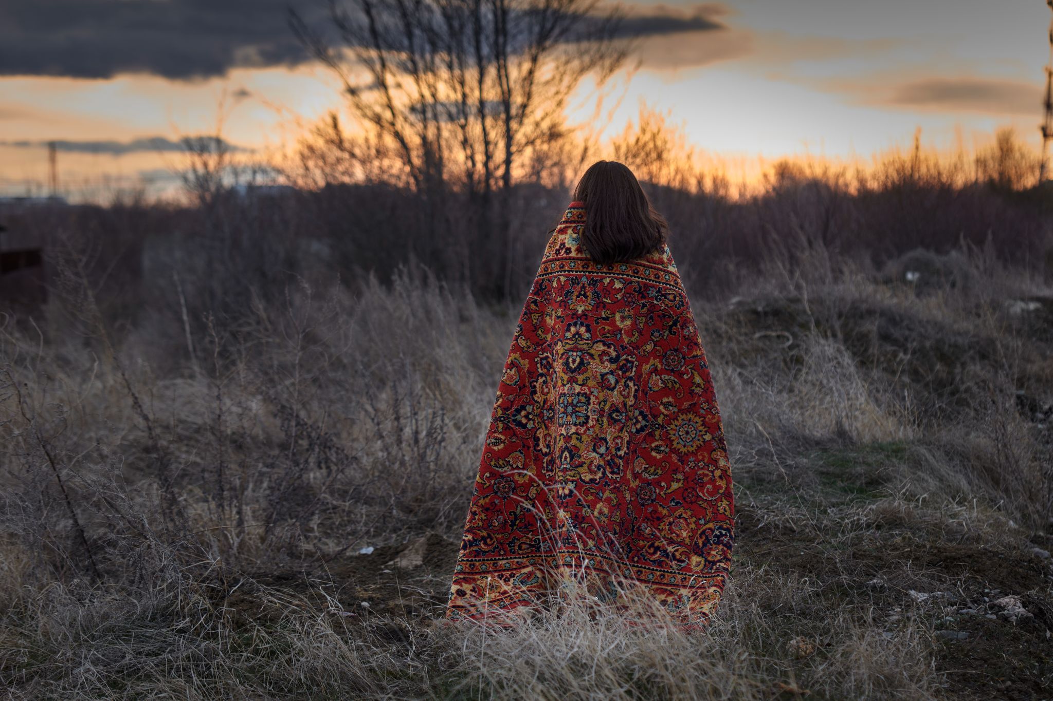 M20240327AM_GraphicNovella1790823