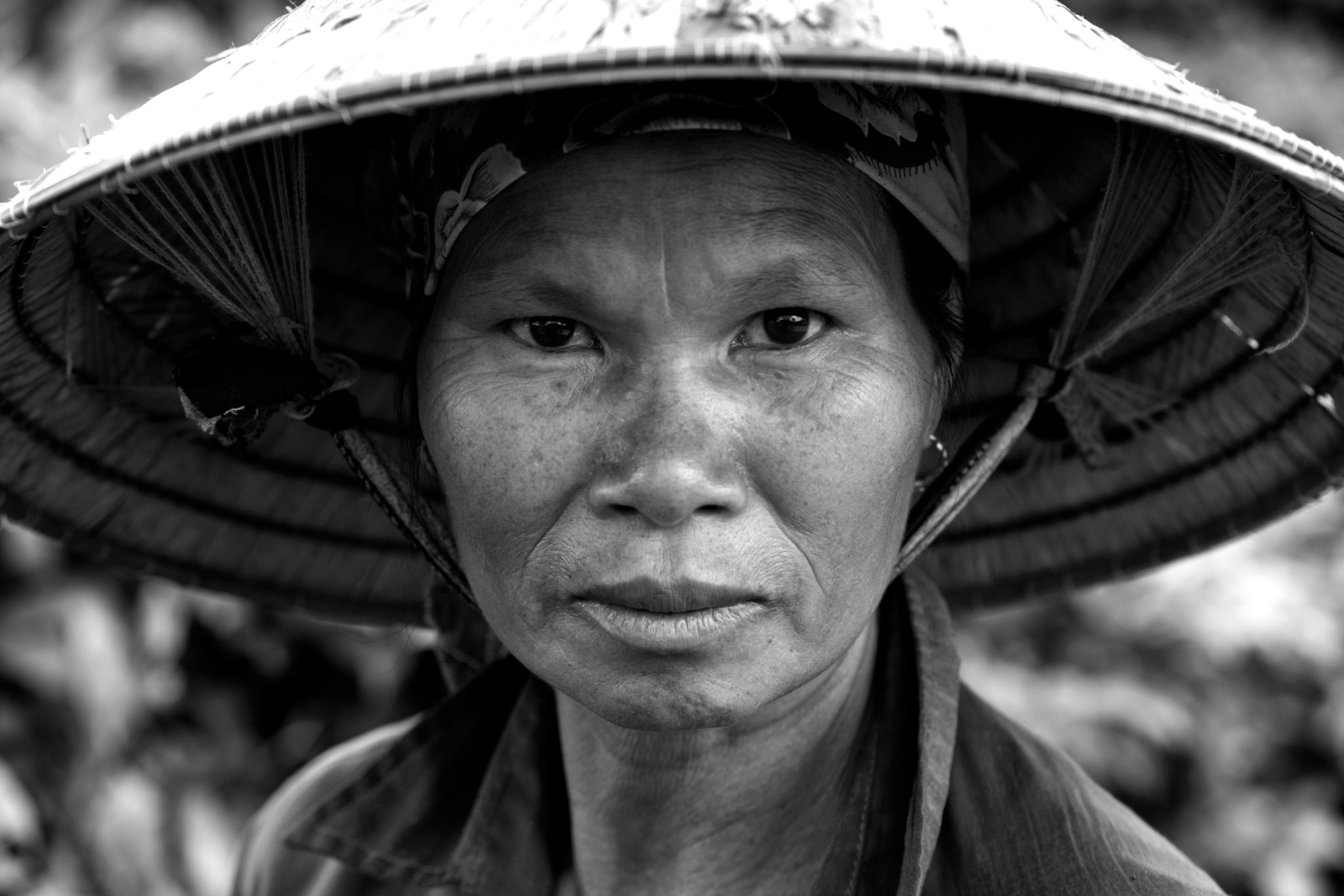 BW_M140828VN_Tea0804