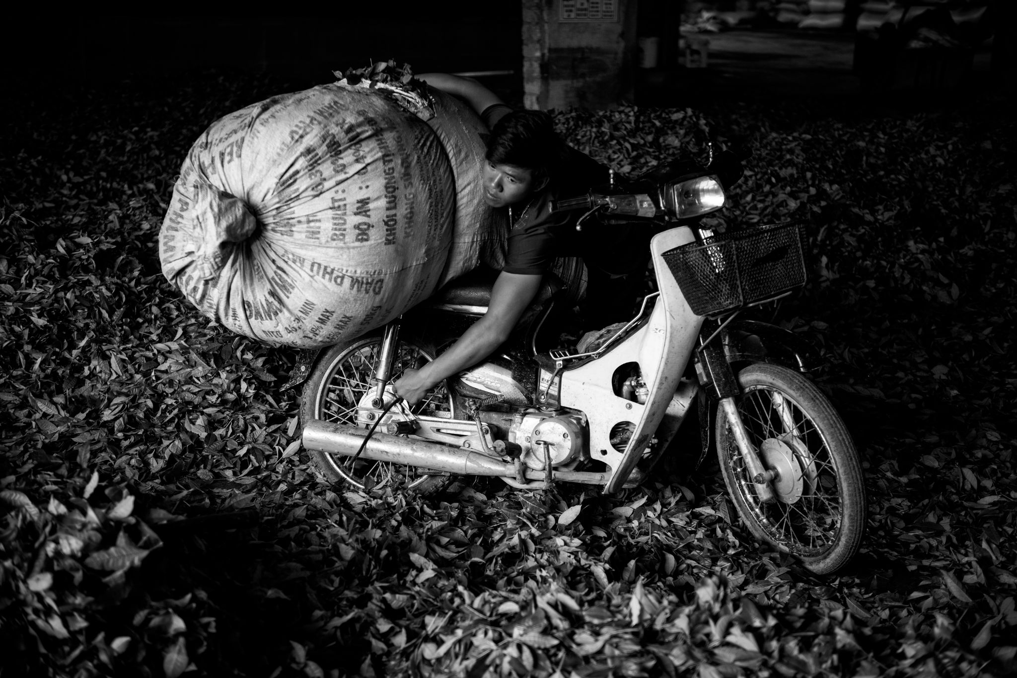 BW_M140828VN_Tea1645