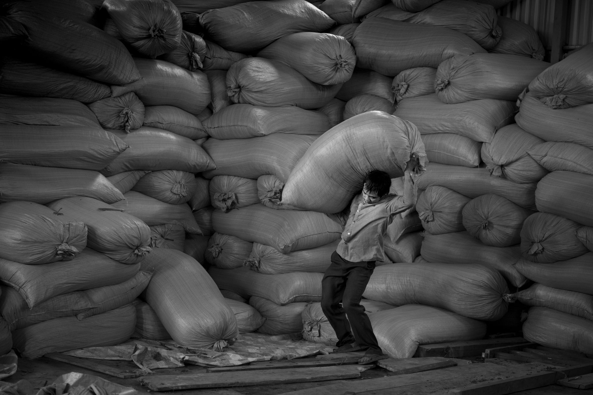 BW_M140828VN_Tea2230