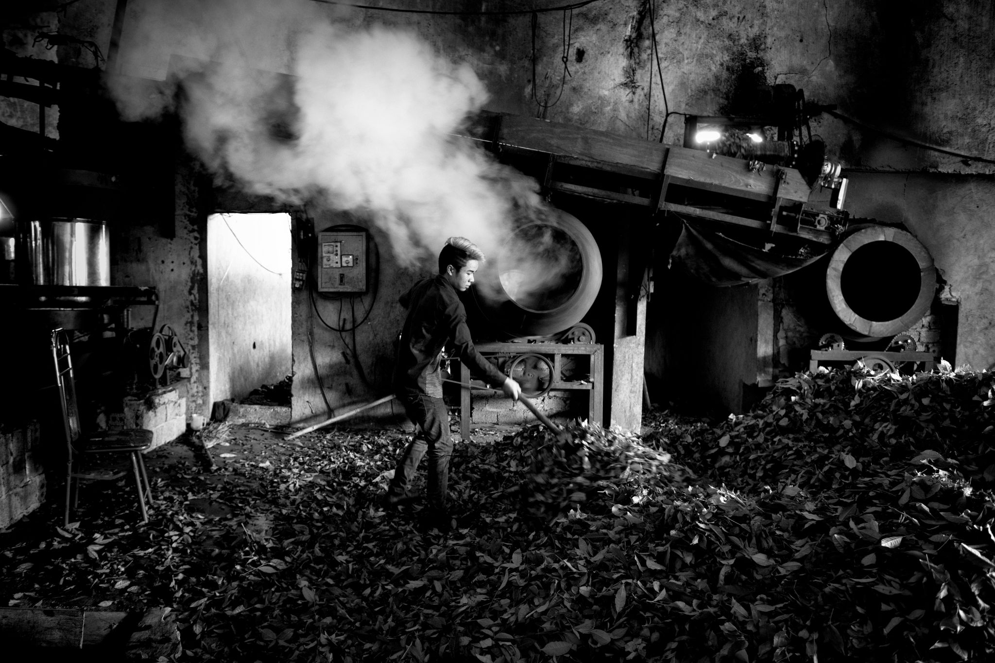 BW_M140828VN_Tea2247